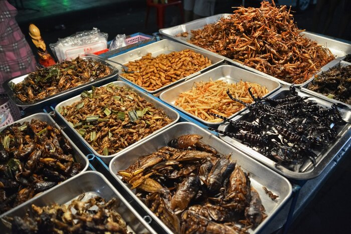 Laos insect dishes, what to eat in Vientiane?